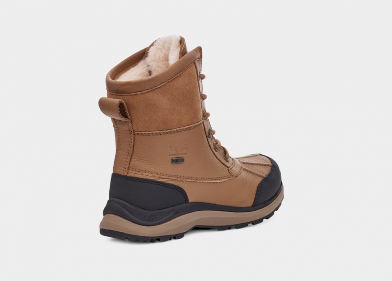 Ugg Adirondack III Hiker Ženske Cizme Smeđe | LYI046138