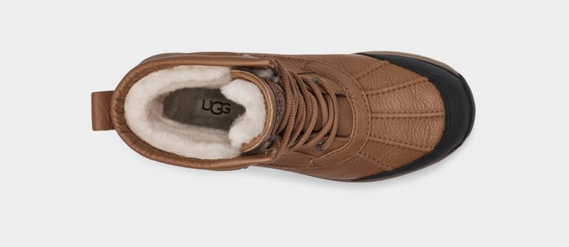 Ugg Adirondack III Hiker Ženske Cizme Smeđe | LYI046138
