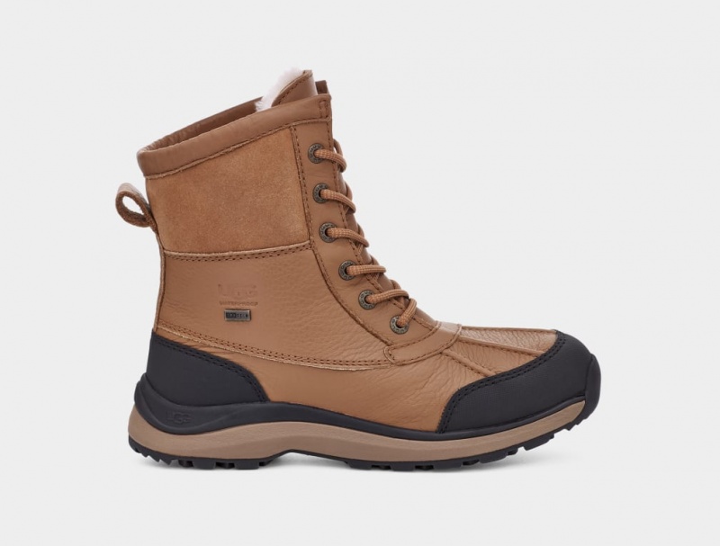 Ugg Adirondack III Hiker Ženske Cizme Smeđe | LYI046138