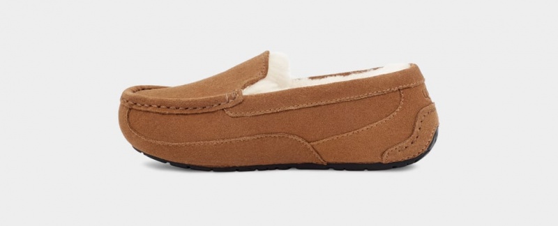 Ugg Ascot Dječje Papuče Smeđe | UMT746592
