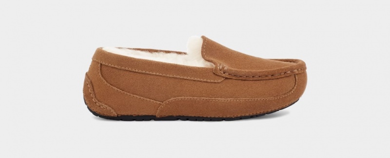 Ugg Ascot Dječje Papuče Smeđe | UMT746592