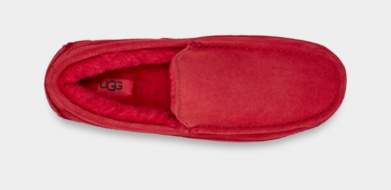 Ugg Ascot Muške Papuče Crvene | CHL891760