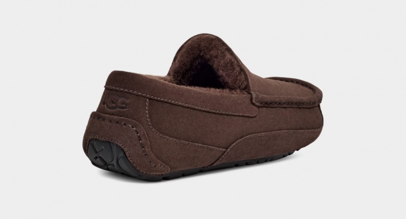 Ugg Ascot Muške Papuče Smeđe | VOP935146