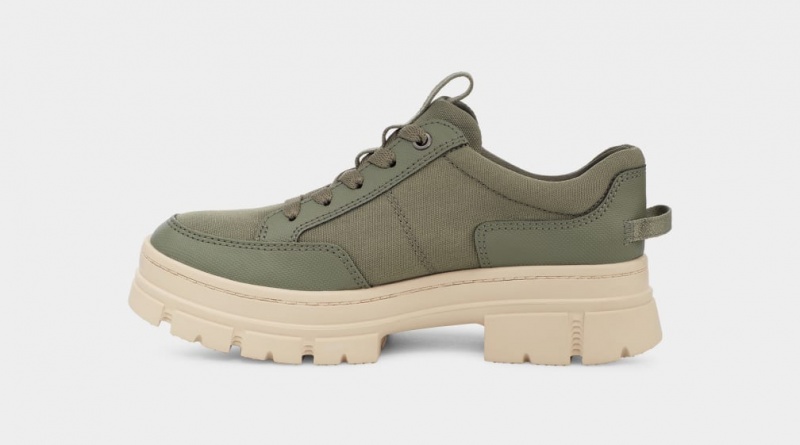 Ugg Ashton Hibrid Ženske Patike Zelene | XYB420853