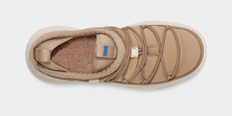 Ugg CA78 Tasman Muške Patike Smeđe | UEQ392576