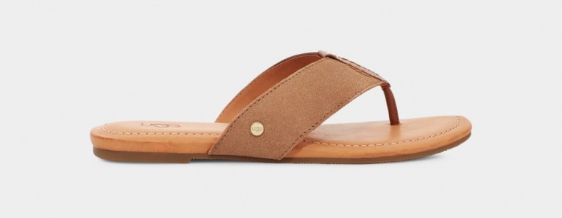 Ugg Carey Flip Suede Ženske Natikače Smeđe | MSO673580