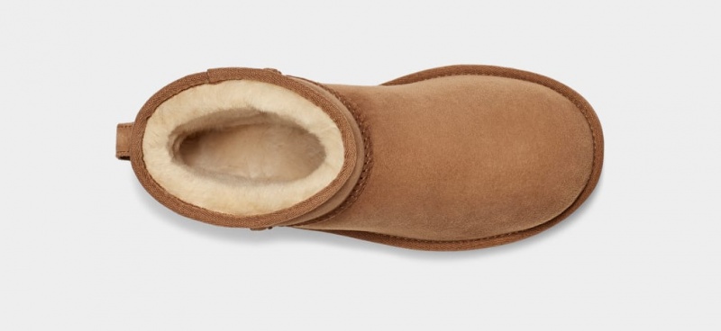 Ugg Classic Mini II Ženske Cizme Smeđe | LCN950276