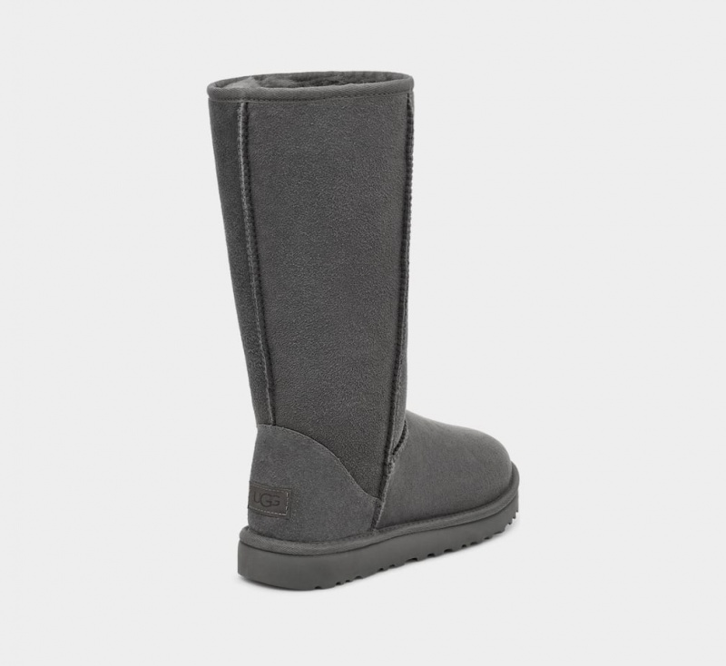 Ugg Classic Tall II Ženske Cizme Sive | VGN603785