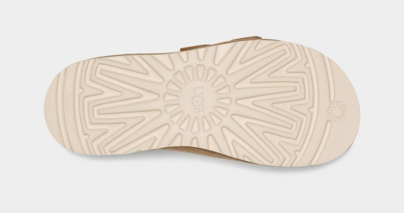 Ugg Goldencoast Strap Muške Natikače Smeđe | QMV318925