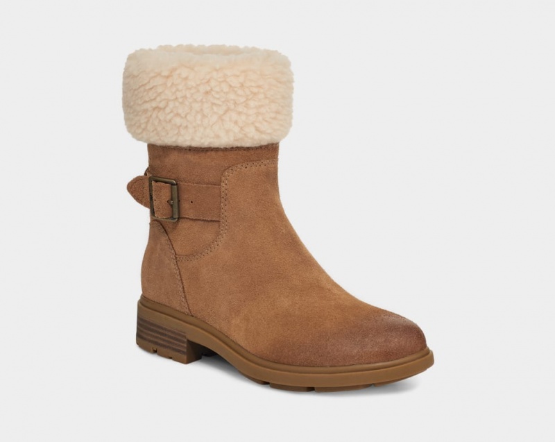 Ugg Harrison Cuff Ženske Cizme Smeđe | FCX613758