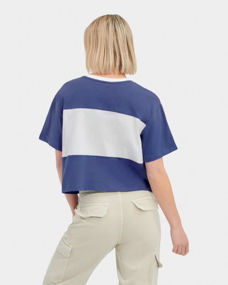 Ugg Jordene Colorblocked Logo Ženske Topi Plave | DGI365201