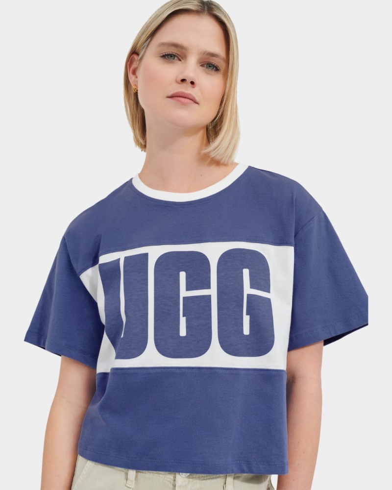 Ugg Jordene Colorblocked Logo Ženske Topi Plave | DGI365201