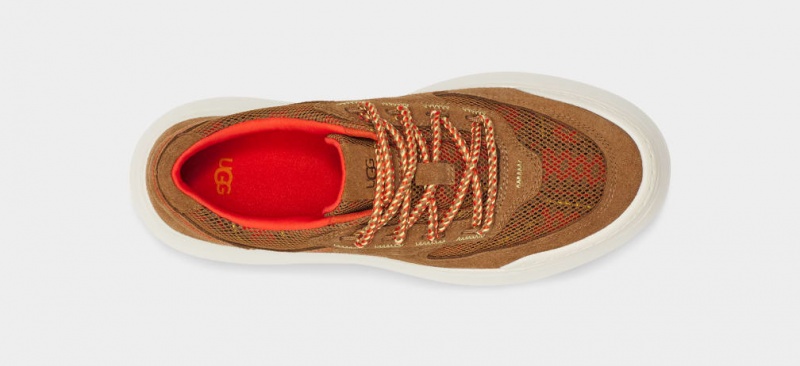 Ugg Marin Mega Lace Heritage Braid Ženske Patike Smeđe | MDP689301
