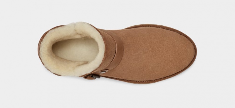 Ugg Romely Buckle Ženske Cizme Smeđe | BXQ109285