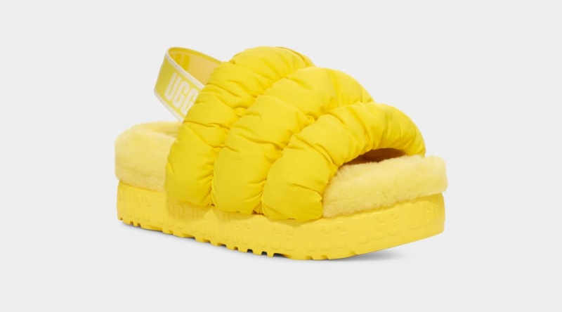 Ugg Scrunchita Ženske Papuče Žute | MLE879261