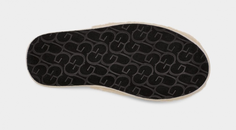 Ugg Scuff Curly Graficke Muške Papuče Bež | FMJ965780
