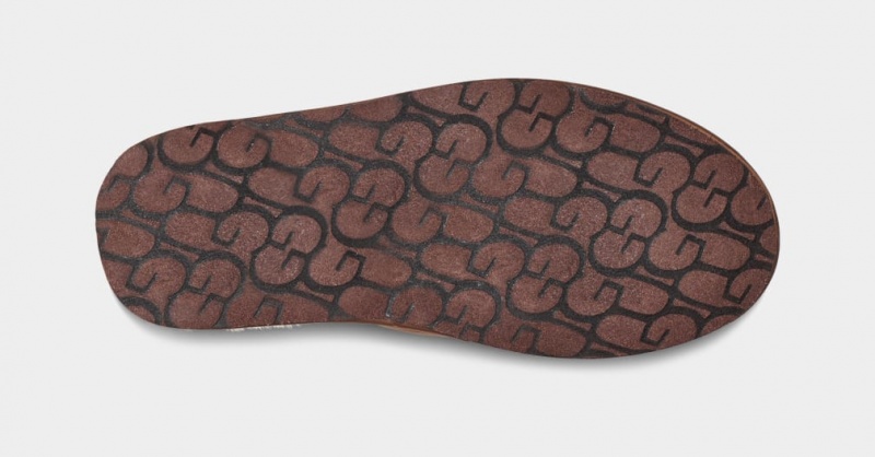 Ugg Scuff Koža Muške Papuče Smeđe | SGR701563