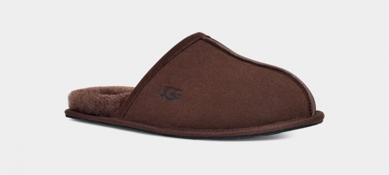 Ugg Scuff Muške Papuče Smeđe | QLF893514