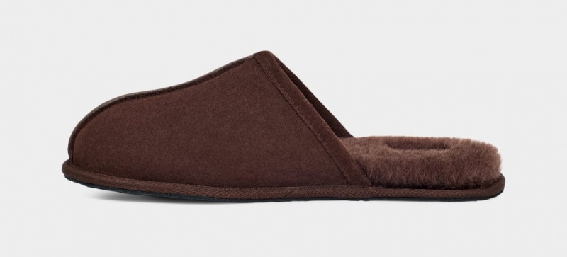 Ugg Scuff Muške Papuče Smeđe | QLF893514
