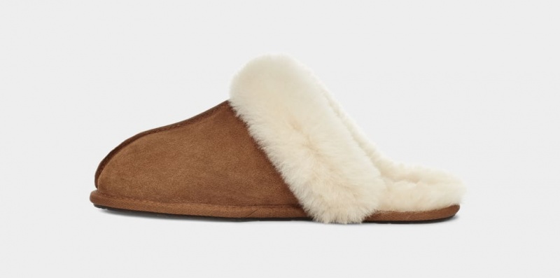 Ugg Scuffette II Ženske Papuče Smeđe | TZJ698453