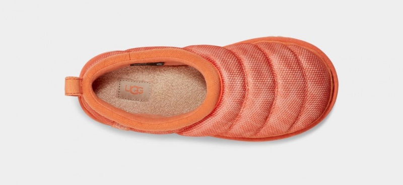 Ugg Tasman LTA Ženske Papuče Koraljne | POT326189