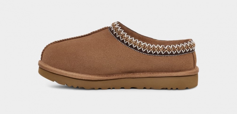 Ugg Tasman Ženske Slip On Smeđe | HIT358427