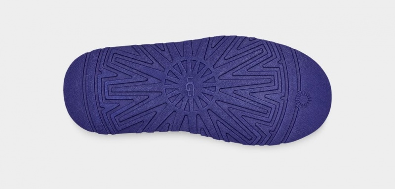 Ugg Tazz Ženske Papuče Plave | YDC045723